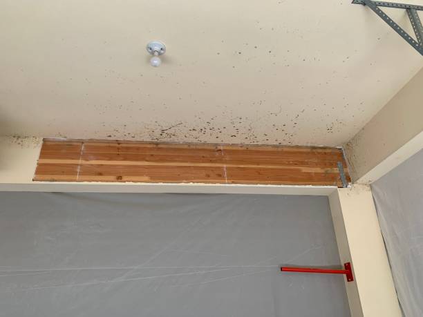 Best Crawl Space Mold Remediation  in Melville, RI